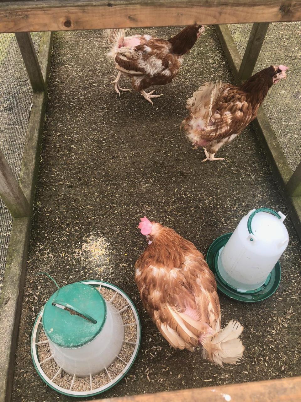 Home Farm Birtsmorton ภายนอก รูปภาพ