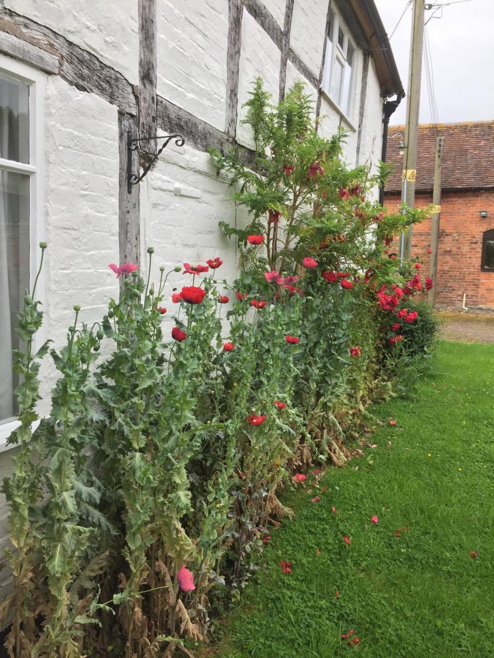 Home Farm Birtsmorton ภายนอก รูปภาพ